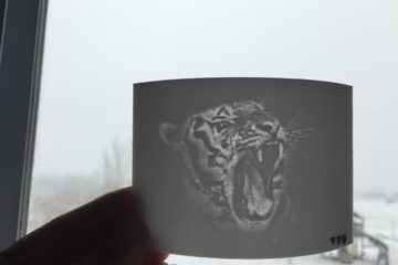 Lithophane Tutorial: 3D Printing Pictures on the Tornado!