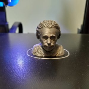 Genius Pro Print Bust