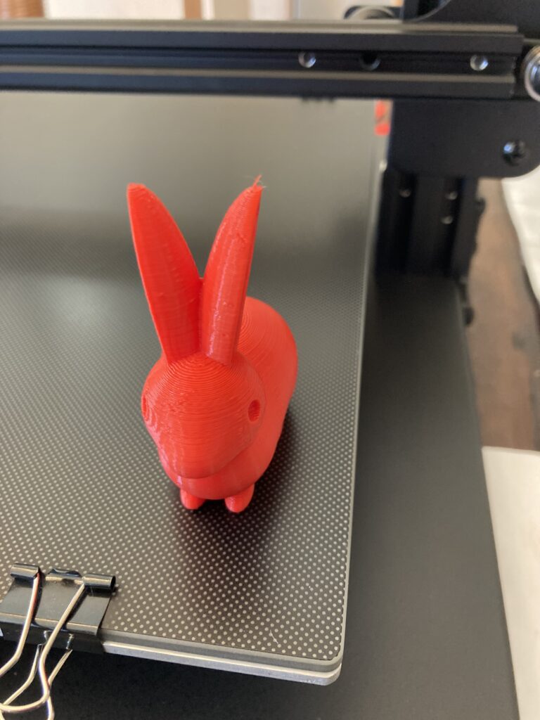 CS30 rabbit print